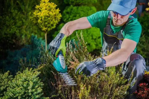 landscaping services Middleport